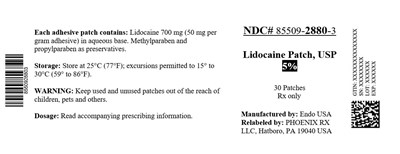 2880 LIDOCAINE patchs.jpg label - 2880 LIDOCAINE patchs